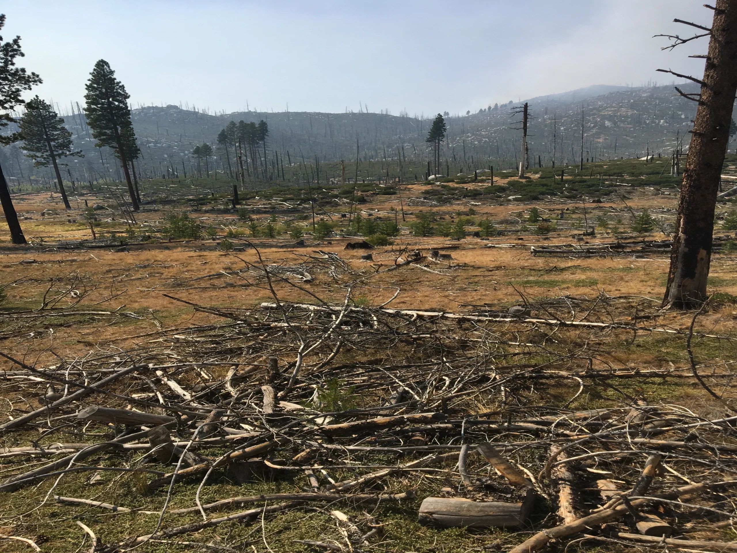 Wildland fire support work